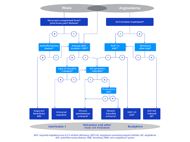 Figure 3 - Diagnostic algorithm for chronic urticaria